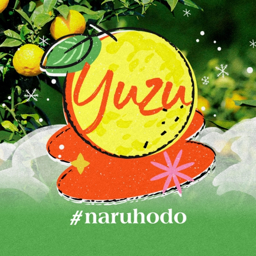 Yuzu: “Mặt trời” vàng ươm, thơm lừng của mùa đông Nhật Bản