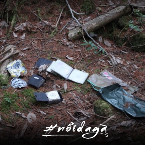 Bí ẩn Aokigahara, “khu rừng tự sát” nổi tiếng của Nhật Bản