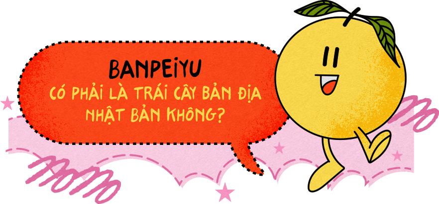 Banpeiyu có phải là trái cây bản địa Nhật Bản không?