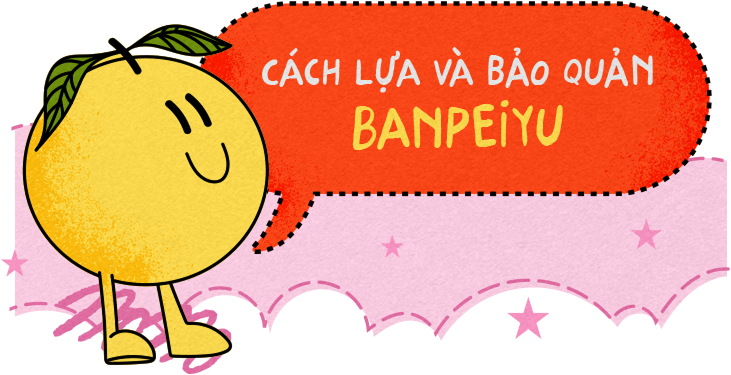 Cách lựa và bảo quản Banpeiyu.