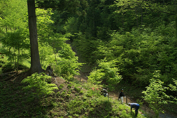 Tại Chishoin, không có bất kỳ bia mộ nào. Ảnh: chishouin.com