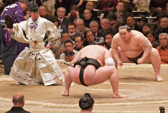 Các võ sĩ Sumo Nhật Bản. Các võ sĩ Sumo Nhật Bản.