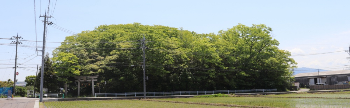 Rừng thiêng Chinju no Mori của đền Kifune ở thị trấn Senda, thành phố Kanazawa, tỉnh Ishikawa. Rừng thiêng Chinju no Mori của đền Kifune ở thị trấn Senda, thành phố Kanazawa, tỉnh Ishikawa.