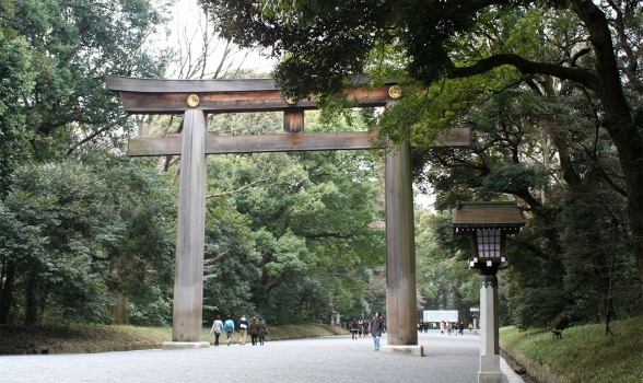 Khu rừng rậm rạp quanh cổng Torii của đền Meiji sau một thập kỷ. Khu rừng rậm rạp quanh cổng Torii của đền Meiji sau một thập kỷ.