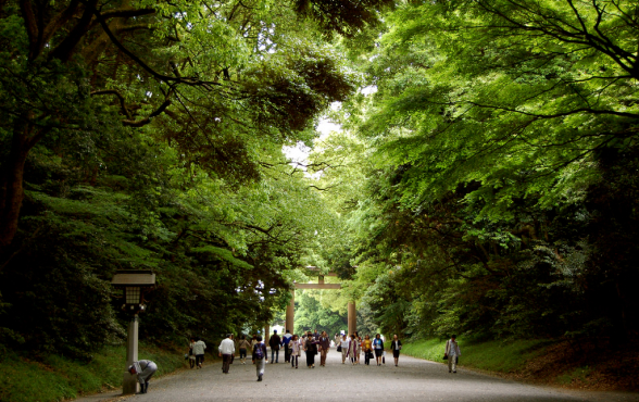 Rừng thiêng của đền Meiji Jingu, Tokyo Rừng thiêng của đền Meiji Jingu, Tokyo