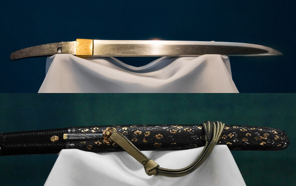 Con dao Tanto. Con dao Tanto.