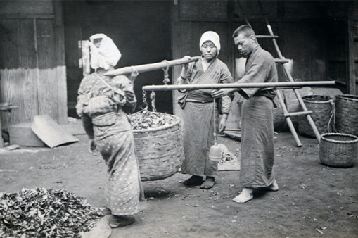 Nông dân Nhật mang Jika-tabi vào năm 1912.