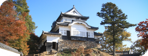 Lâu đài Bitchu Matsuyama