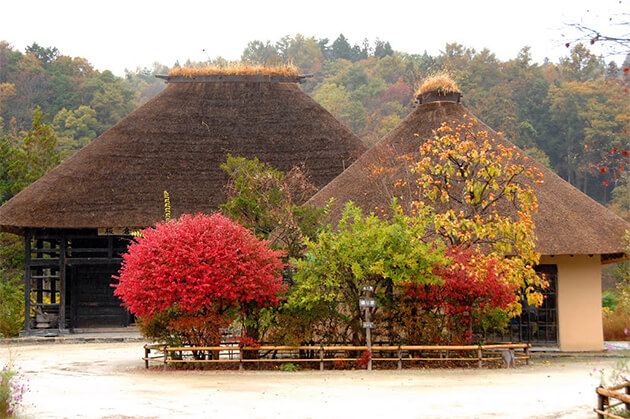 Công viên Denshouen. Công viên Denshouen.
