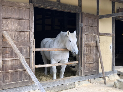 Ngôi làng cổ xưa Tono Furusato. Ngôi làng cổ xưa Tono Furusato.