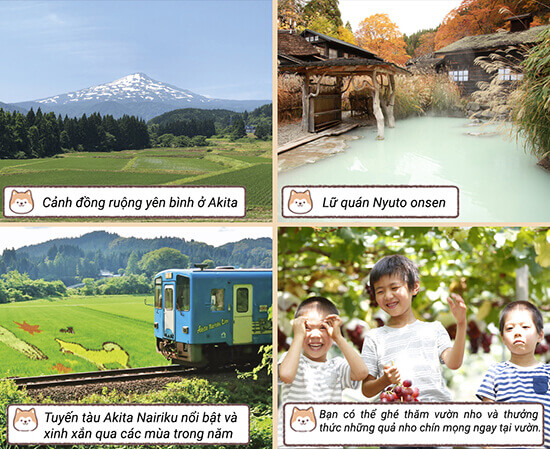 Cảnh sắc nên thơ như bước ra từ những khung tranh