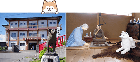 Bảo tàng chó Akita