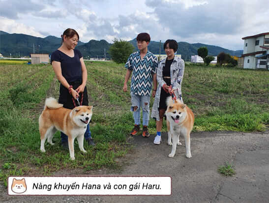 Nàng khuyển Hana và con gái Haru. Nàng khuyển Hana và con gái Haru.