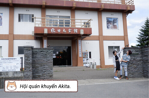 Hội quán khuyển Akita. Hội quán khuyển Akita.