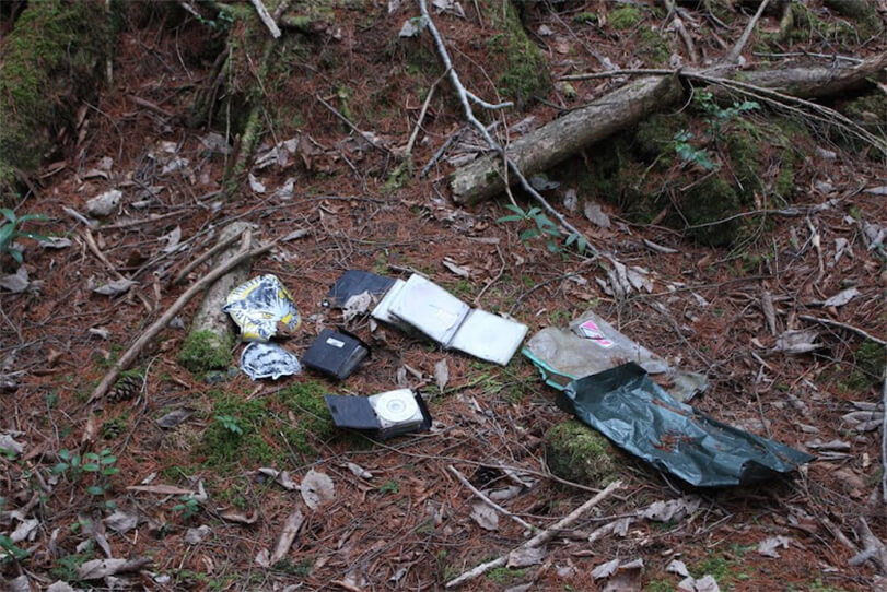 Cảnh tượng ghê rợn bên trong khu rừng bị nguyền rủa