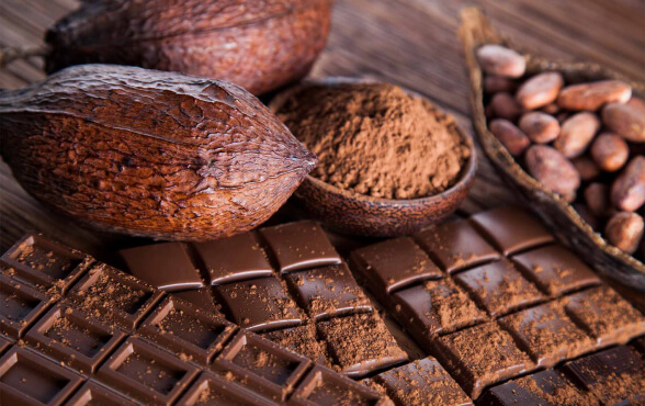 Hạt cacao Hạt cacao