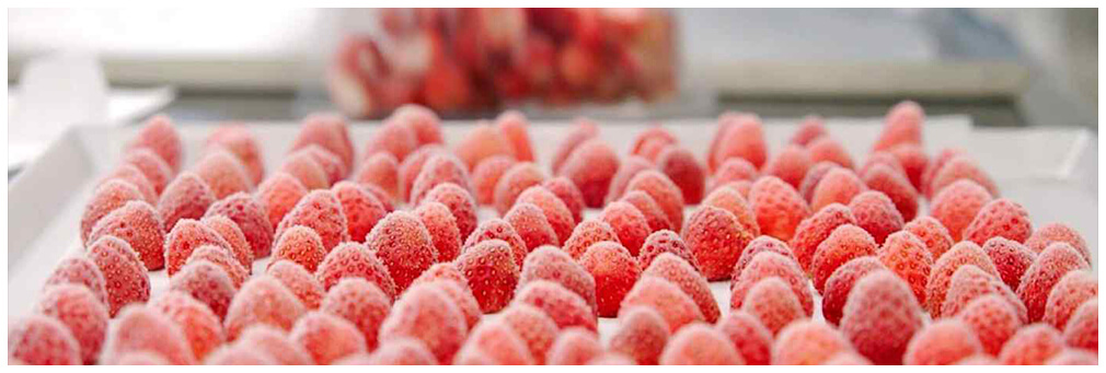 Dâu tây sử dụng công nghệ CAS. Ảnh Nikkei