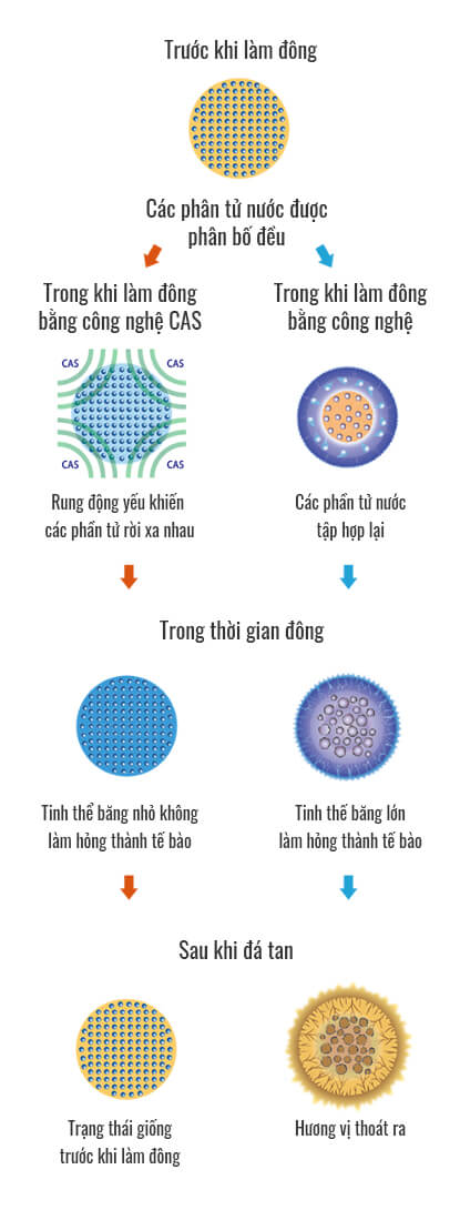 Bảng so sánh cách mà CAS làm đông thực phẩm so với phương pháp truyền thống
