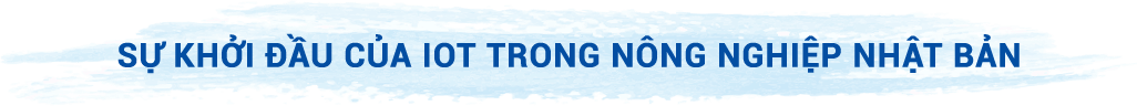 Sự khởi đầu của IoT trong nông nghiệp Nhật Bản