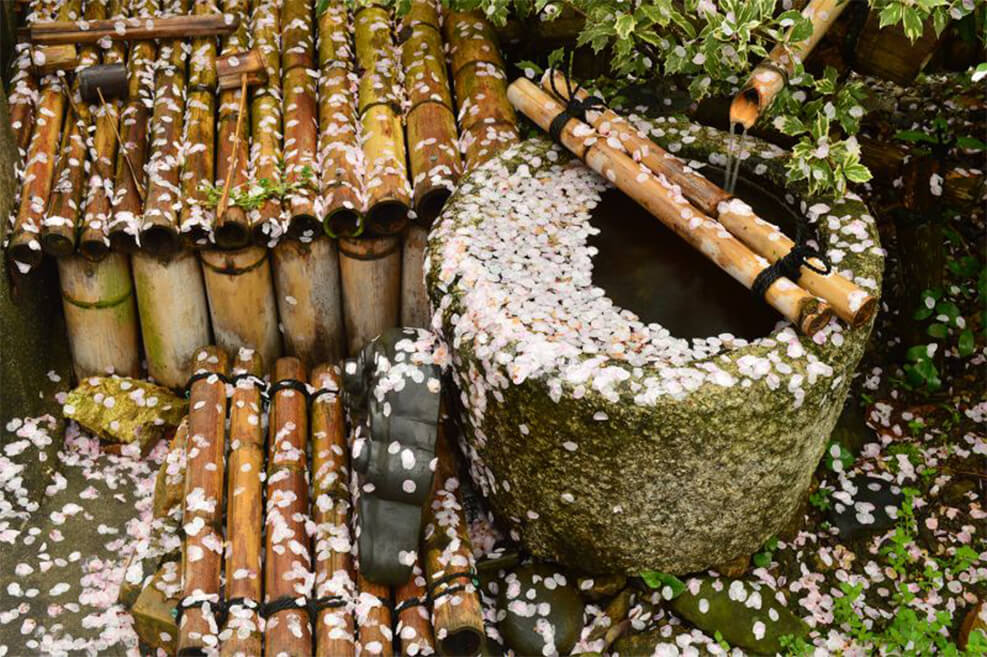 Thiền (Zen) giữ vai trò nền tảng trong văn hóa Nhật Bản. Thiền (Zen) giữ vai trò nền tảng trong văn hóa Nhật Bản.