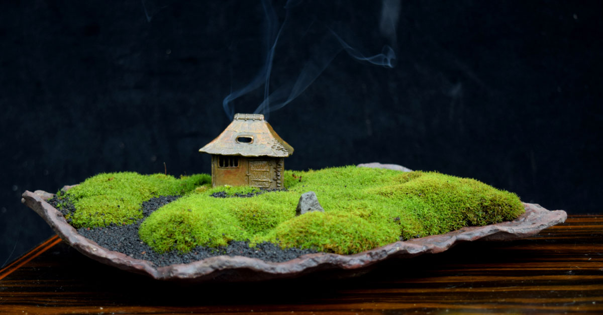 Một tác phẩm Kusamono sáng tạo với rêu.