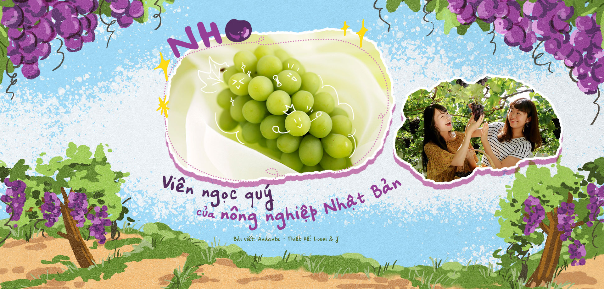 Nho: Viên ngọc quý của nông nghiệp Nhật Bản.