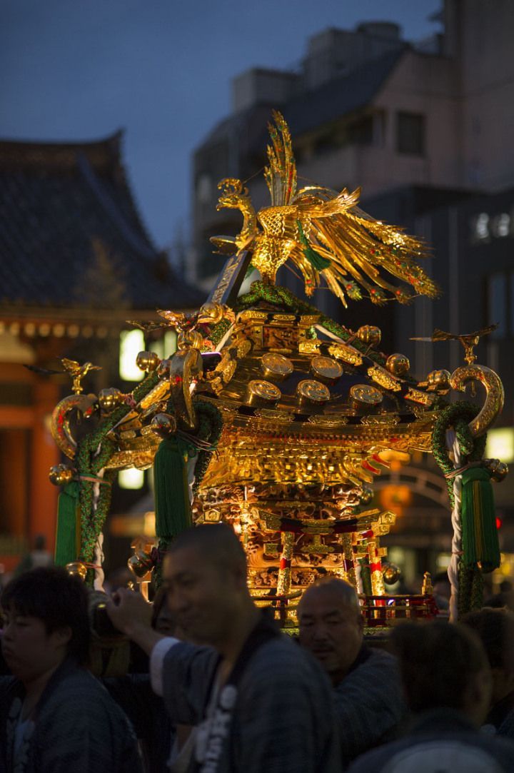 lễ hội Sanja về đêm tại Asakusa lễ hội Sanja về đêm tại Asakusa