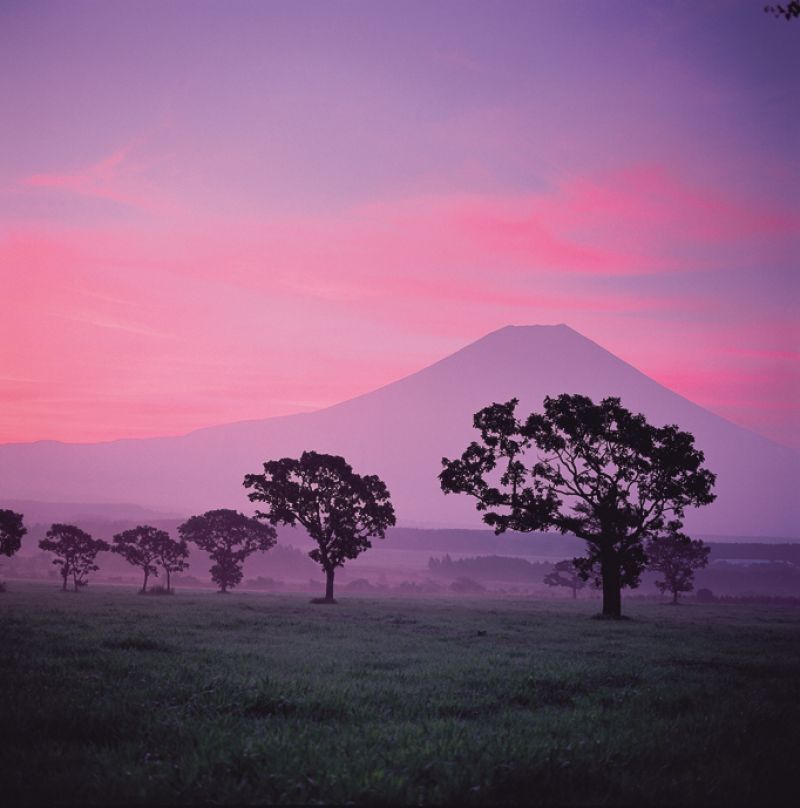 fujisan fujisan