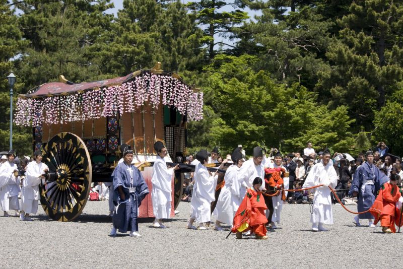 aoi matsuri
