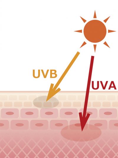 tác động của tia UV lên da tác động của tia UV lên da