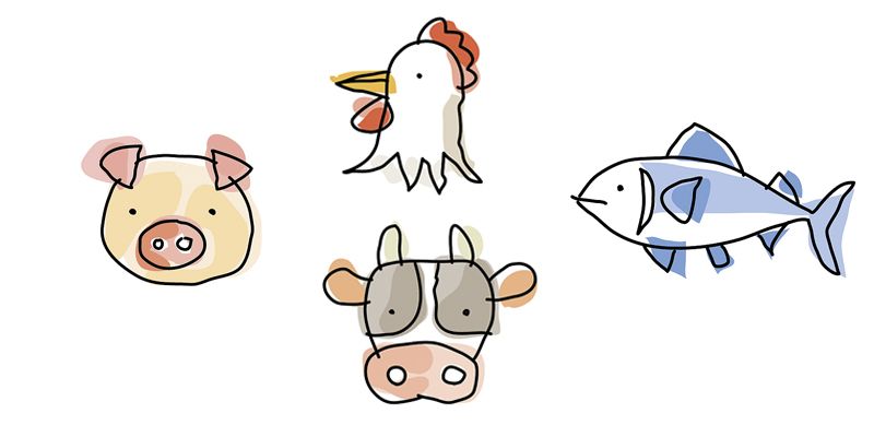 điều cần biết về Collagen điều cần biết về Collagen