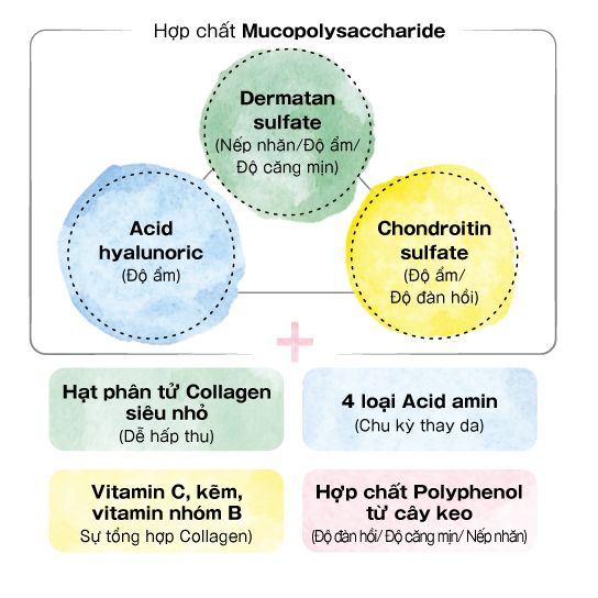 thành phần collagen thành phần collagen