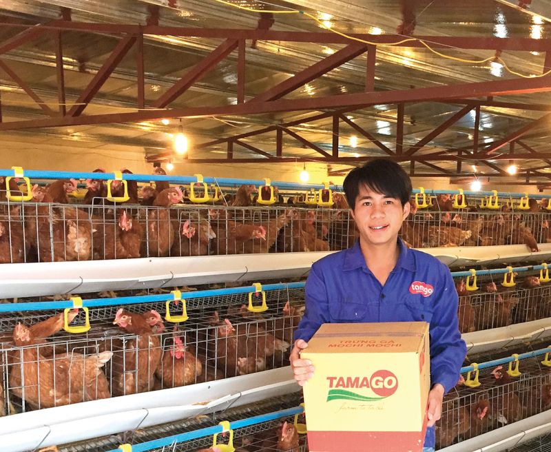 công nghệ chuồng lạnh và kín Tamago công nghệ chuồng lạnh và kín Tamago