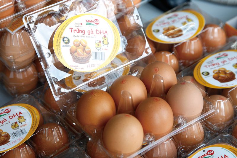 trứng gà DHA trứng gà DHA