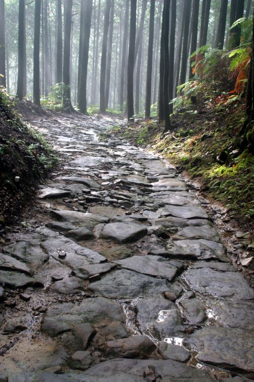 con đường hành hương kumano kodo