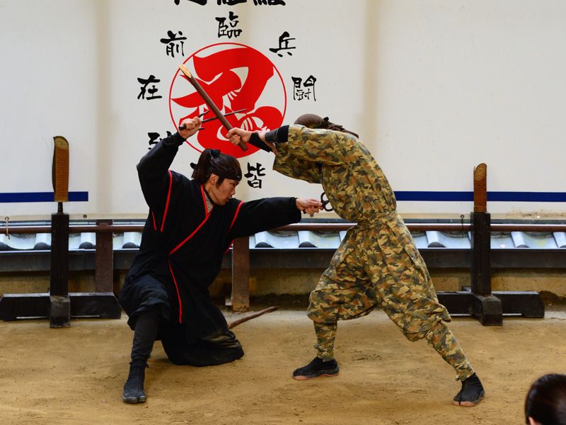 màn trình diễn Ninja