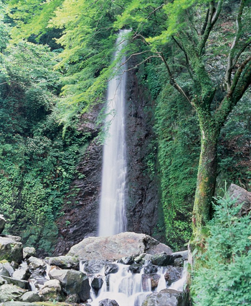 養老 養老