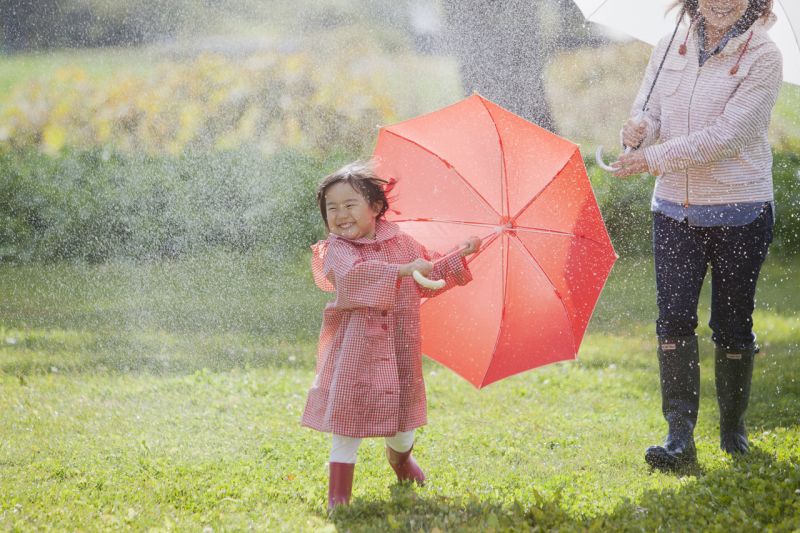 mùa mưa Tsuyu - vị sứ giả mùa hè mùa mưa Tsuyu - vị sứ giả mùa hè