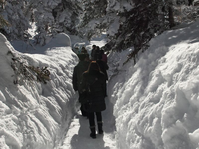 hành lang tuyết trắng