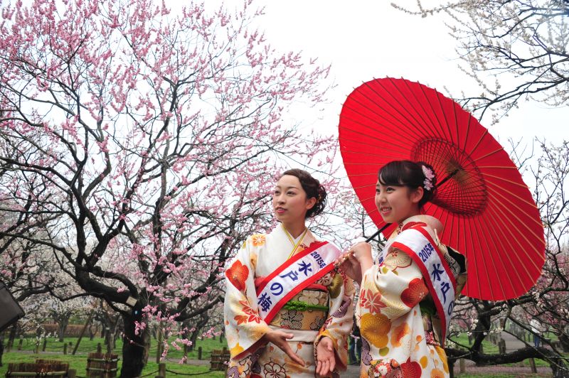 vườn mơ Kairakuen