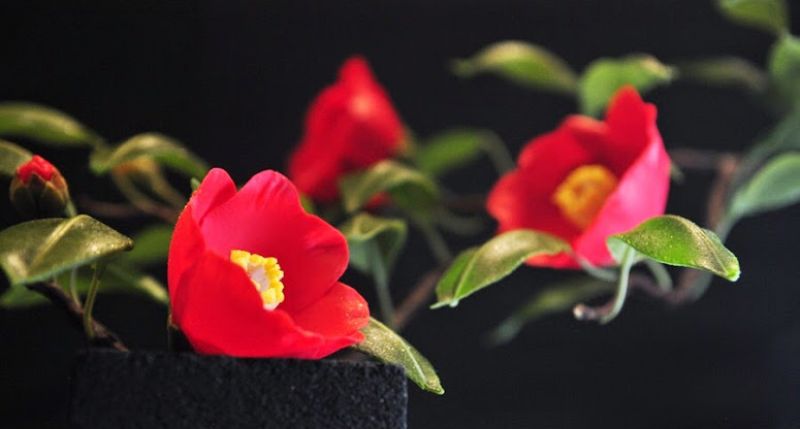 Sweet Art Junichi Mitsubori Sweet Art Junichi Mitsubori