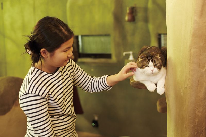 てまりのおうち てまりのおうち