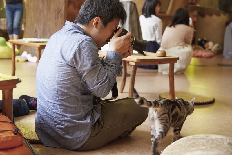 てまりのおうち てまりのおうち