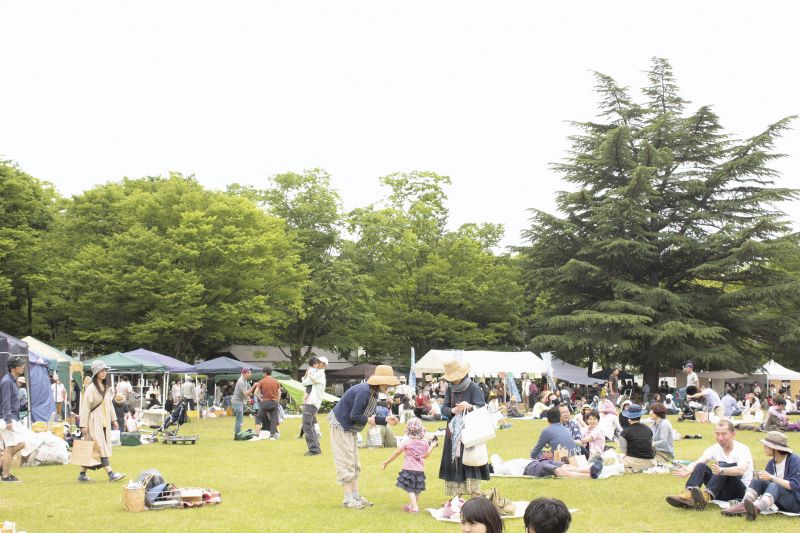 Bãi cỏ tuyệt đẹp thích hợp cho các buổi pic-nic Bãi cỏ tuyệt đẹp thích hợp cho các buổi pic-nic