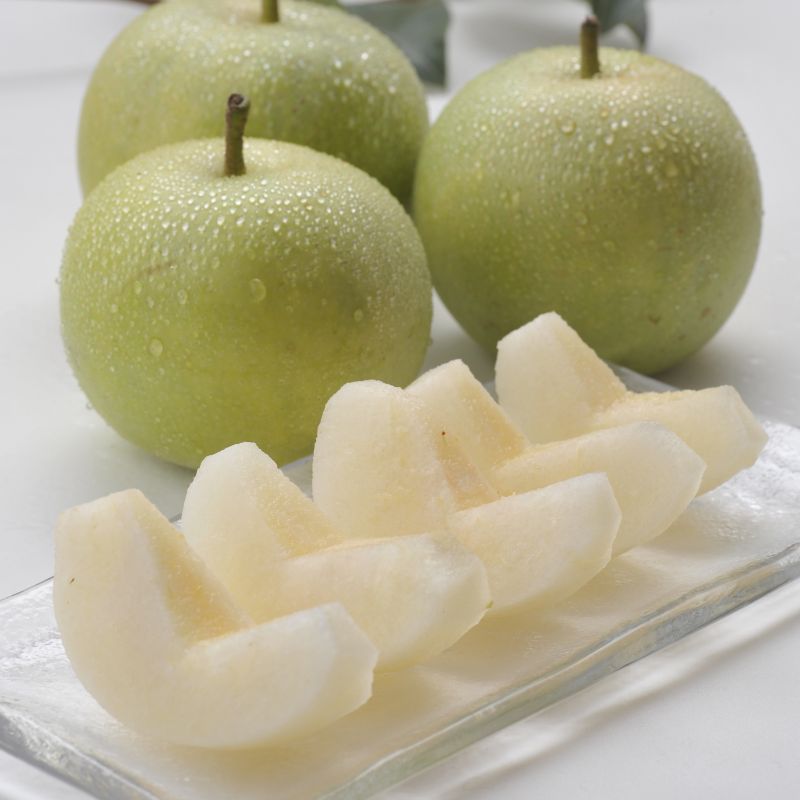 lê tottori lê tottori