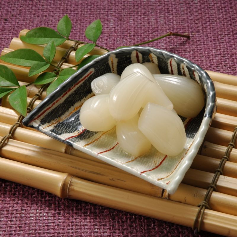 củ kiệu tottori củ kiệu tottori