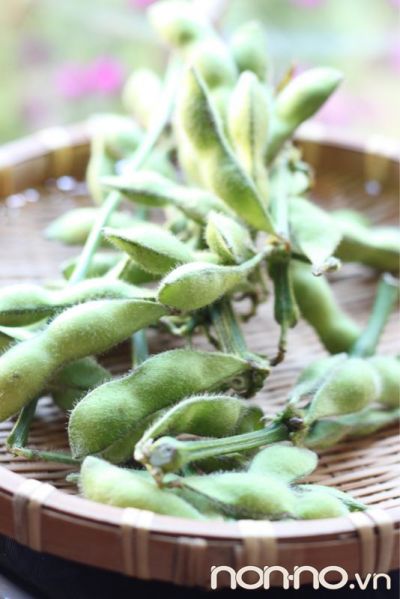 đậu nành lông edamame đậu nành lông edamame