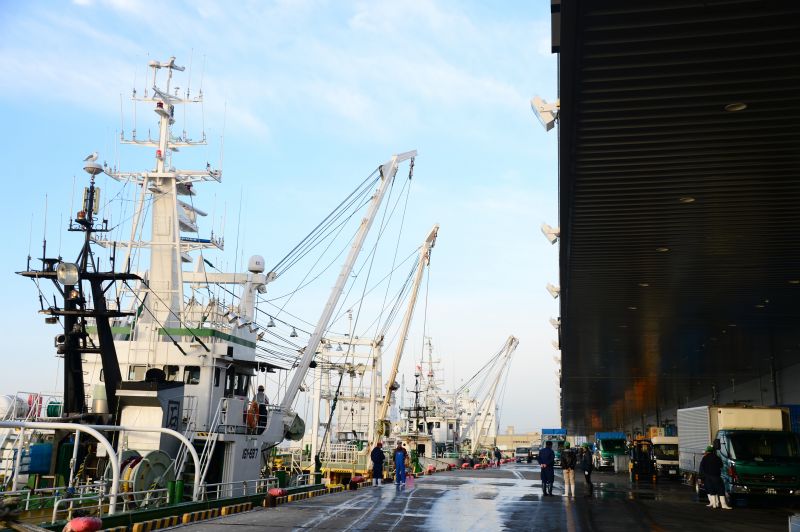 chợ cá shin ishinomaki