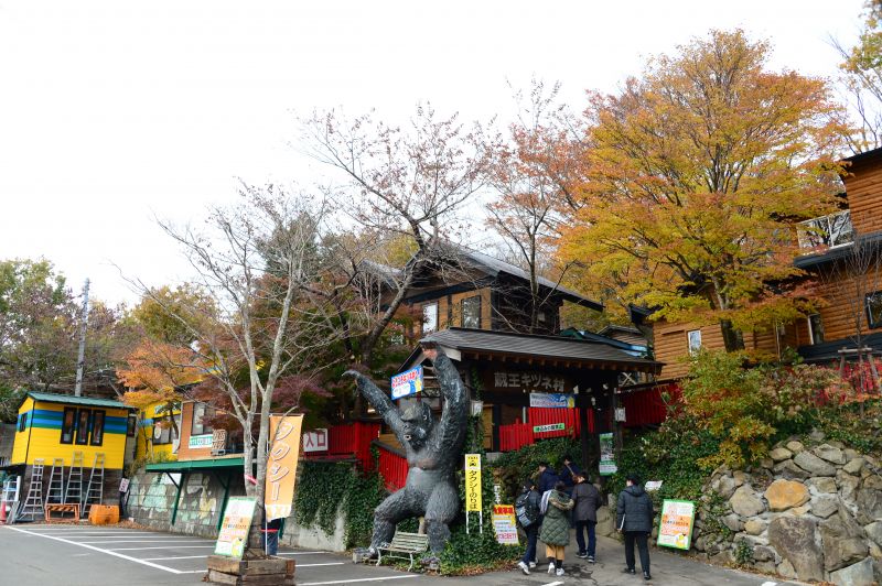 công viên cáo Zao Kitsune Mura