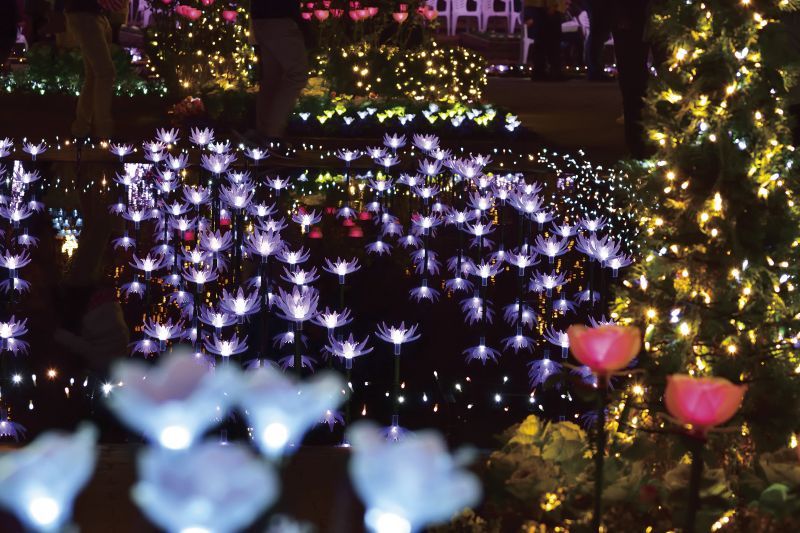 Vườn hoa Ashikaga Vườn hoa Ashikaga